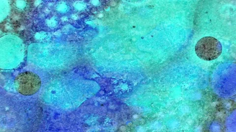 Curlicue of Paints Видео 71312206