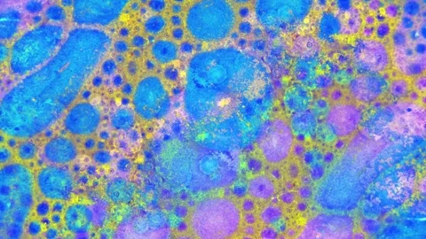 Curlicue of Paints Stock Footage 71312216