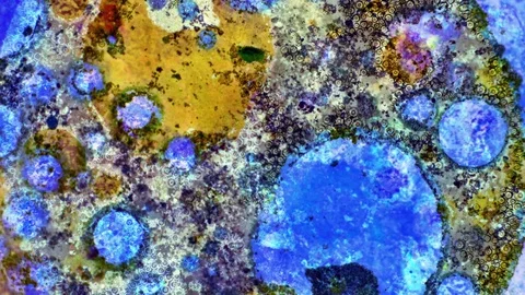 Curlicue of Paints Stockbeeldmateriaal 71312539