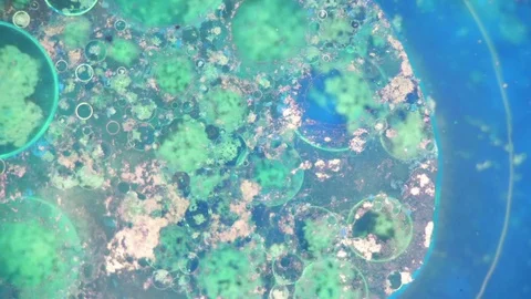 Curlicue of Paints Stock Footage 71377734