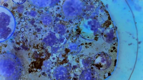 Curlicue of Paints Video stock 71386084