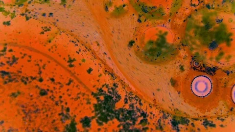 Curlicue of Paints Видео 71386434