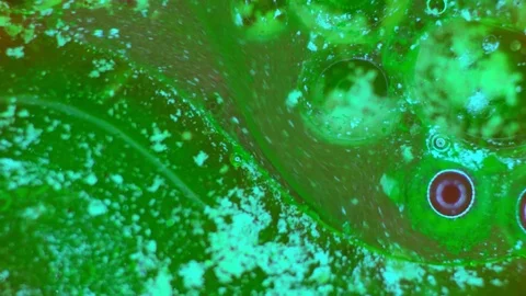 Curlicue of Paints Stock Footage 71388022