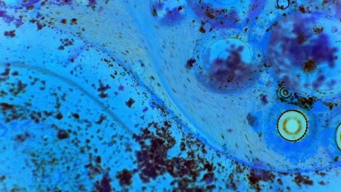 Curlicue of Paints Stock Footage 71388593