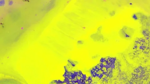 Curlicue of Paints Видео 71388594