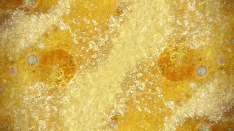 Curlicue of Paints 스톡 동영상 71388599