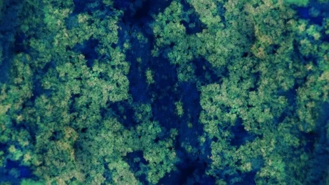Curlicue of Paints Stock Footage 71393770