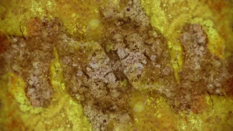 Curlicue of Paints Vídeo Stock 71393846