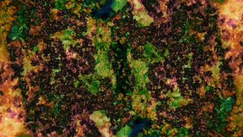 Curlicue of Paints Stock Footage 71394730