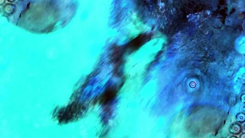 Curlicue of Paints Stock Footage 71396038