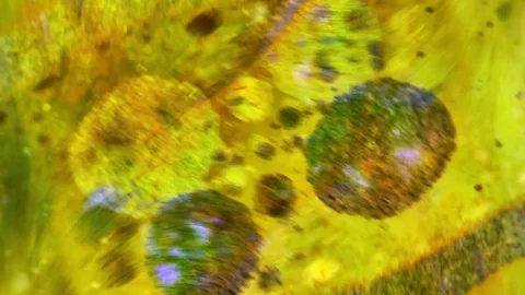 Curlicue of Paints Видео 71397924