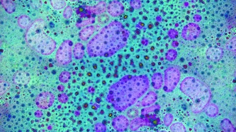 Curlicue of Paints 库存影片 71399295