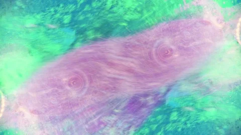 Curlicue of Paints 動画素材 71400282