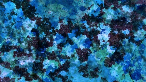 Curlicue of Paints Stock Footage 71401973