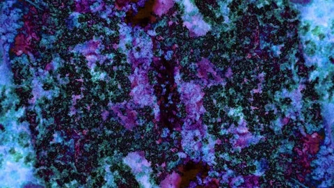 Curlicue of Paints Stock Footage 71402229
