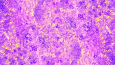 Curlicue of Paints Видео 71422933