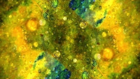 Curlicue of Paints Stock Footage 71437416