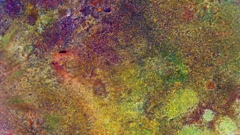 Curlicue of Paints Stock Footage 71441561