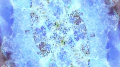 Curlicue of Paints Stockbeeldmateriaal 71441802