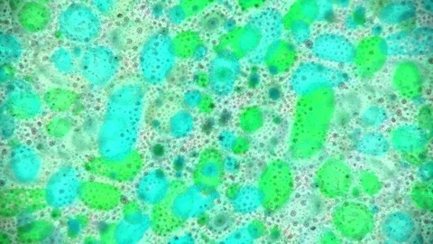 Curlicue of Paints Stock Footage 71444895