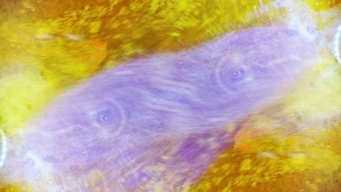 Curlicue of Paints Видео 71445629