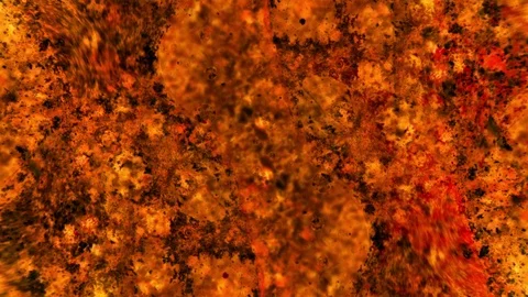 Curlicue of Paints 스톡 동영상 71445971