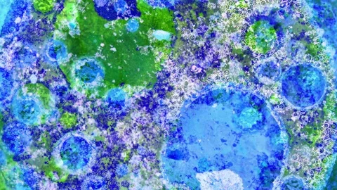 Curlicue of Paints Stockbeeldmateriaal 71446151