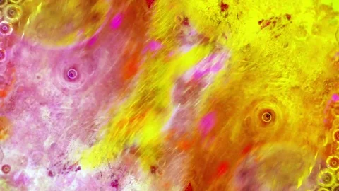 Curlicue of Paints Vídeos de archivo 71446799