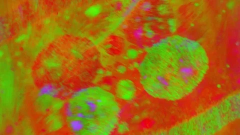 Curlicue of Paints 库存影片 71446933