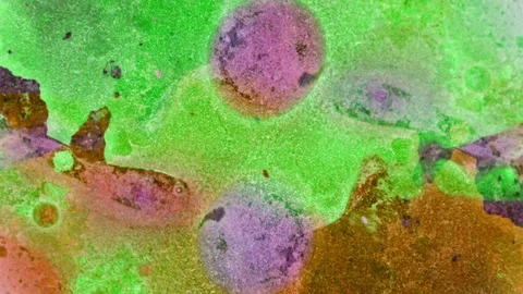 Curlicue of Paints Stock Footage 71450136