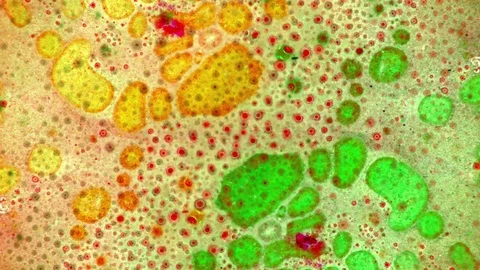 Curlicue of Paints Видео 71452152