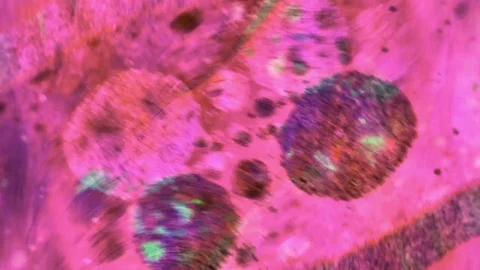 Curlicue of Paints Видео 71453665