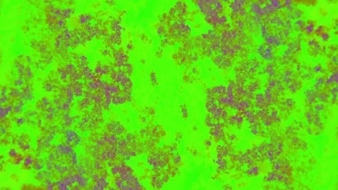 Curlicue of Paints Video stock 71455576
