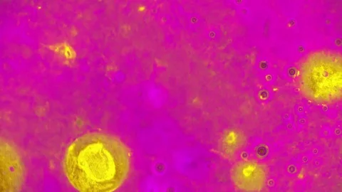 Curlicue of Paints Vídeo Stock 71456157