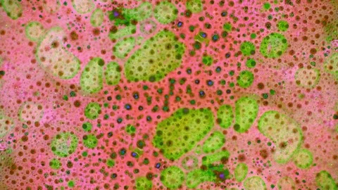 Curlicue of Paints 스톡 동영상 71456982