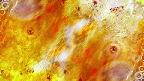 Curlicue of Paints Stock Footage 71457251