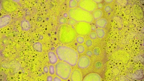 Curlicue of Paints Stock Footage 71466927
