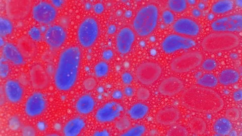 Curlicue of Paints Stockbeeldmateriaal 71471168