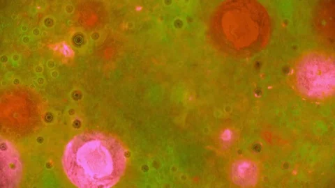 Curlicue of Paints Видео 71474574