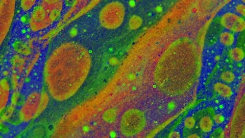 Curlicue of Paints Видео 71475658