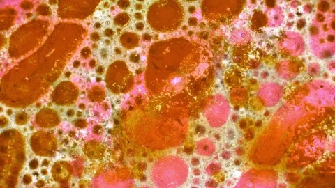 Curlicue of Paints Stock-Footage 71477903