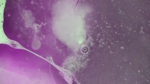 Curlicue of Paints Stock Footage 71479562