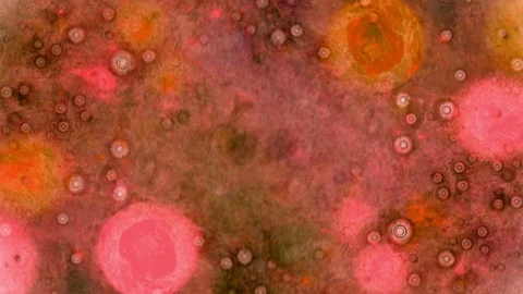 Curlicue of Paints Stock Footage 71480757