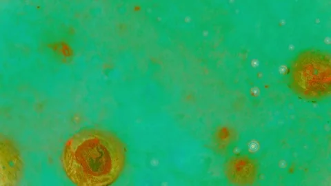 Curlicue of Paints 動画素材 71481132