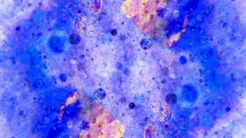 Curlicue of Paints 스톡 동영상 71484787