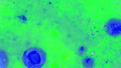 Curlicue of Paints Stockbeeldmateriaal 71486904