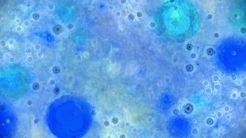 Curlicue of Paints 스톡 동영상 71486917