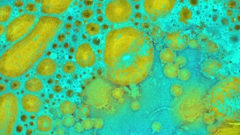 Curlicue of Paints 動画素材 71487799