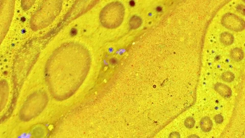 Curlicue of Paints Vídeos de archivo 71488095