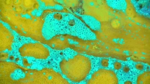 Curlicue of Paints Video stock 71489945